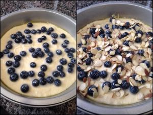 BlueberryLemonCoffeeCake4