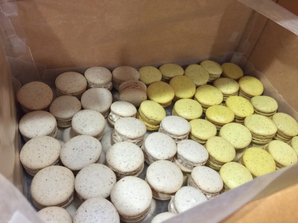 boxedmacarons